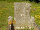 image of grave number 131051